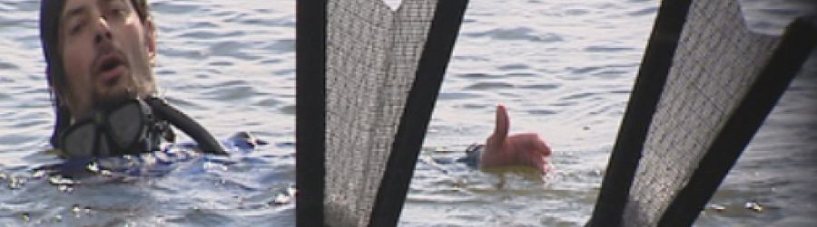 uid_336e5a22447283eda33942f31ec672671377702913931_width_900_play_0_pos_0_gs_0_height_506